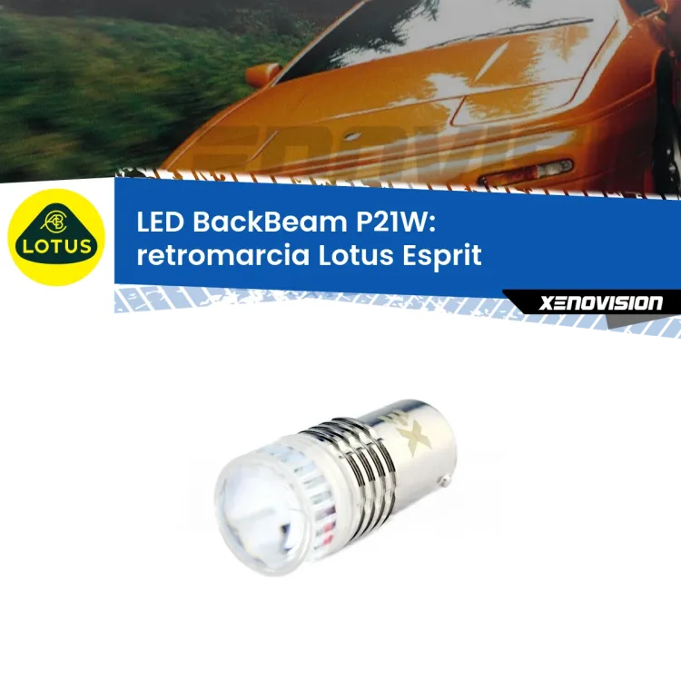 <strong>Retromarcia LED per Lotus Esprit</strong>  1989 - 2003. Lampada <strong>P21W</strong> canbus. Illumina a giorno con questo straordinario cannone LED a luminosità estrema.