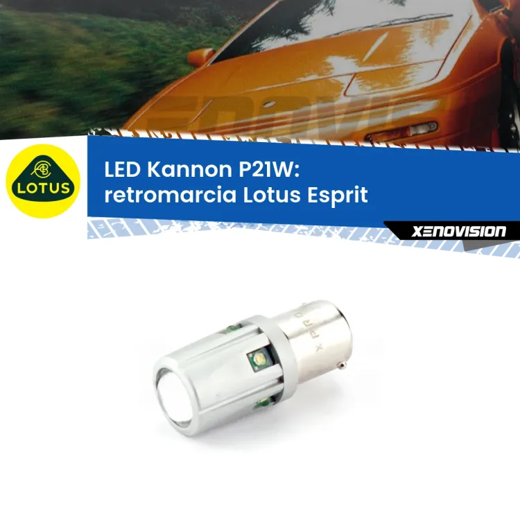 <strong>LED per Retromarcia Lotus Esprit  1989 - 2003.</strong>Lampadina P21W con una poderosa illuminazione frontale rafforzata da 5 potenti chip laterali.