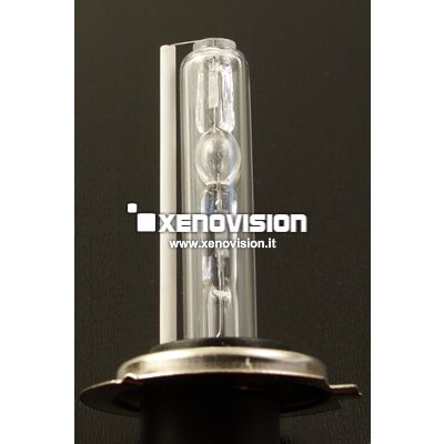 H7-R 8000k Lampada xenon originale Xenovision per kit 55W - Plug Ket